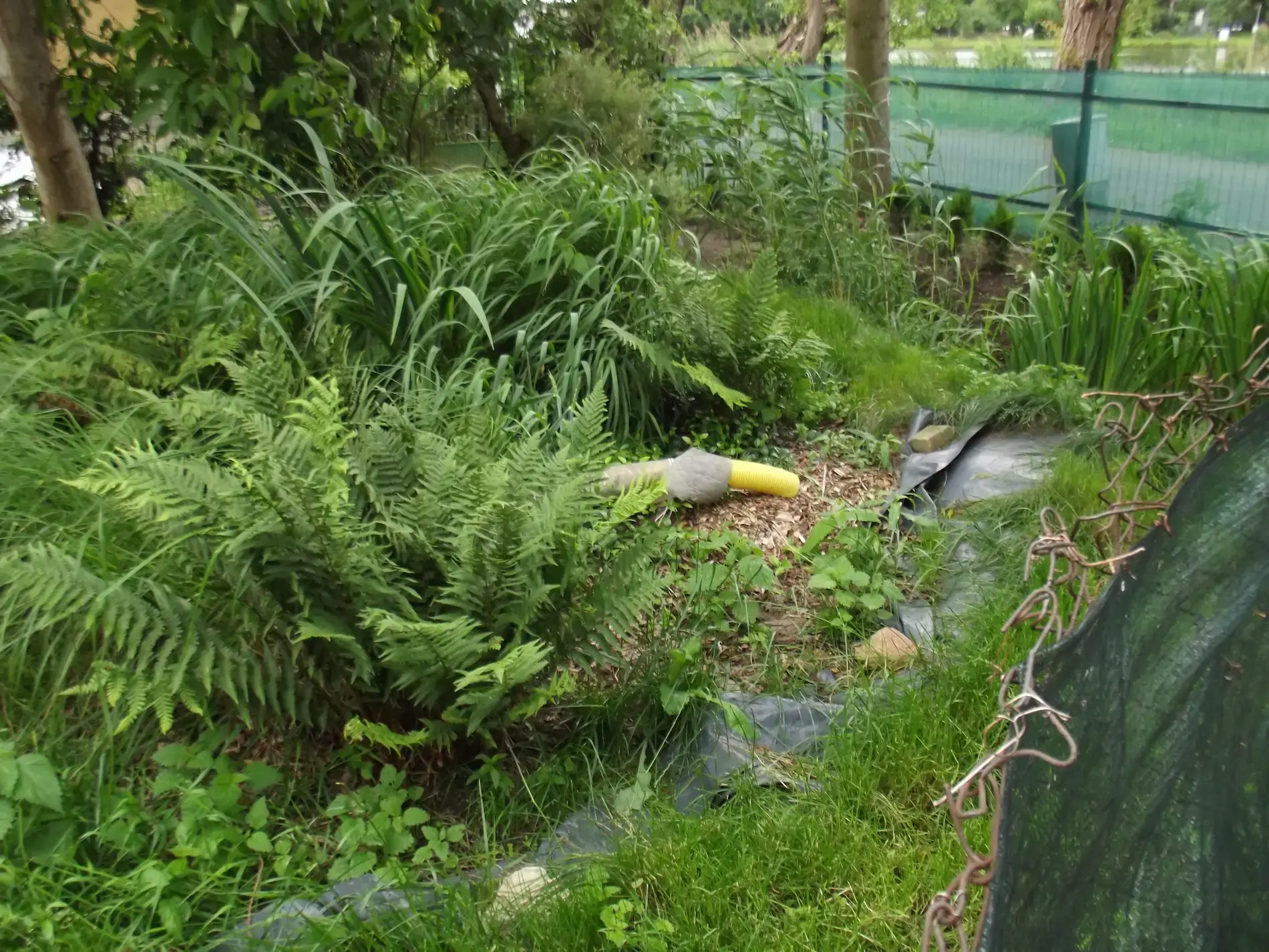 Kanalizacja i serwis instalacji Ryki